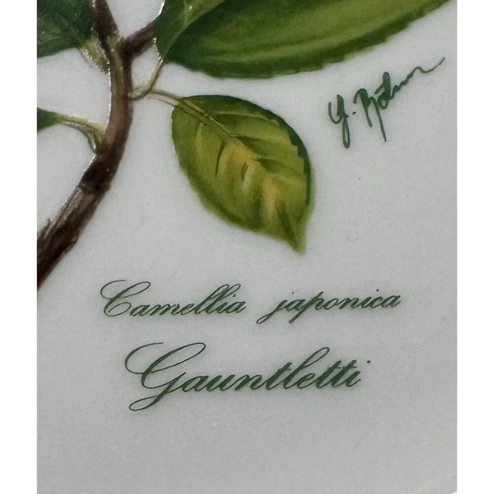 2 JWK Bavaria Camellia Japonica Gauntletti Floral Botanical Plates West Germany